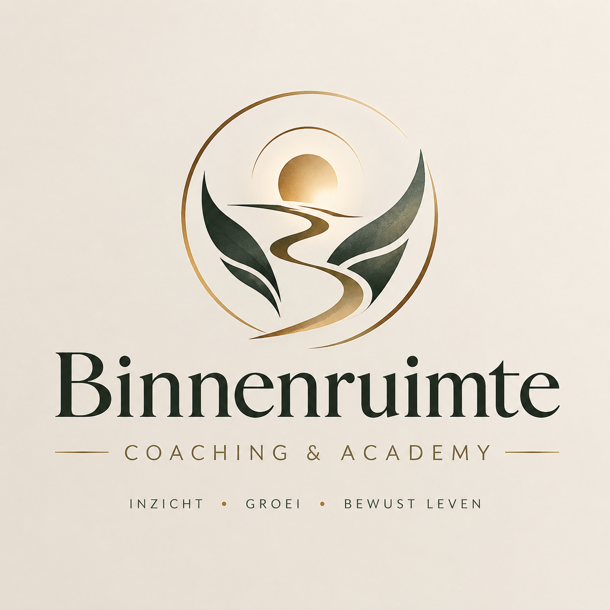 binnenruimte-coaching-academy-inzicht-groei-bewust-leven